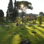 Rome rose garden Autumn in Rome Rose garden