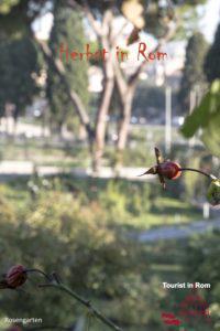 Herbst in Rom Rosengarten giardino delle rose