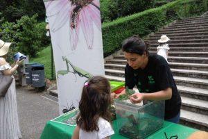 Biopark Rom Kinderprogramm Insekten