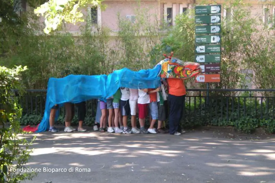 Bioparco Rome The Attraction For Families With Children Tourist In Rome