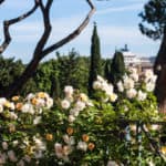 Roma aprile Roseto