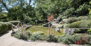 Orto botanico di Roma giardino giapponese