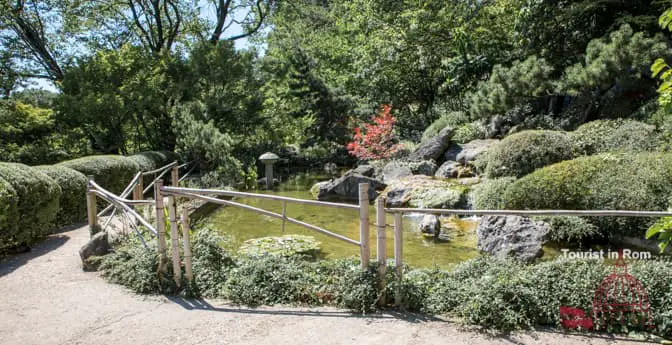 Botanical garden Rome Japanese garden