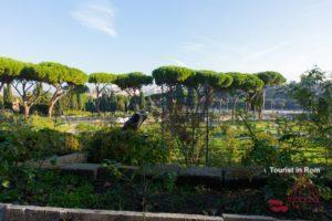 Roma segreta giardino delle rose panorama