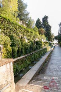Rom September Villa D'Este viale 100 fontane Rom September Villa D'Este viale 100 fontane
