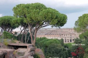 Rom Oktober Palatin Kolosseum