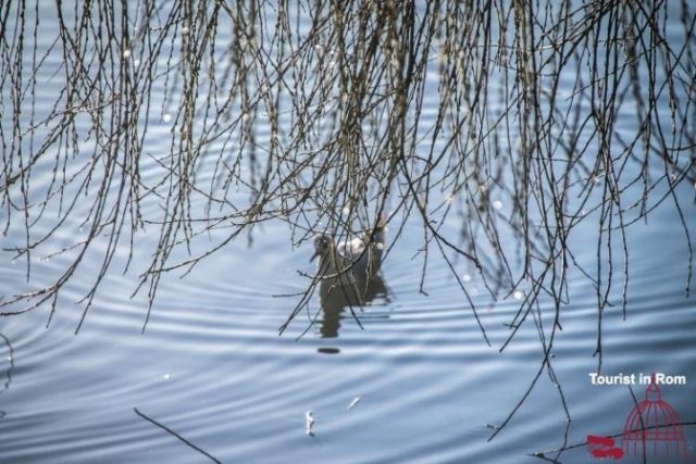 070217-_MG_3730