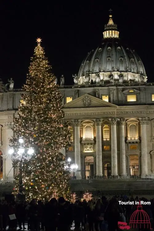 Christmas Crib 2016 on St. Peter's Square 49