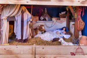 2020 nativity scene on St. Peter's square · Photo gallery 35