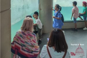 Biopark Rom Beobachtungen Biopark Rom Beobachtungen