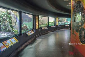 Biopark Rom Vitrinen Biopark Rom Vitrinen